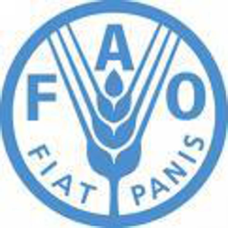 Italy hails FAO's 75th birthday, World Food Day