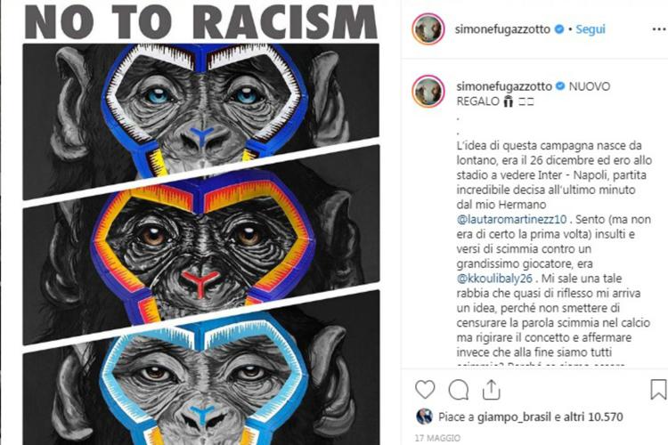 Scimmie contro il razzismo, la spiegazione dell'artista