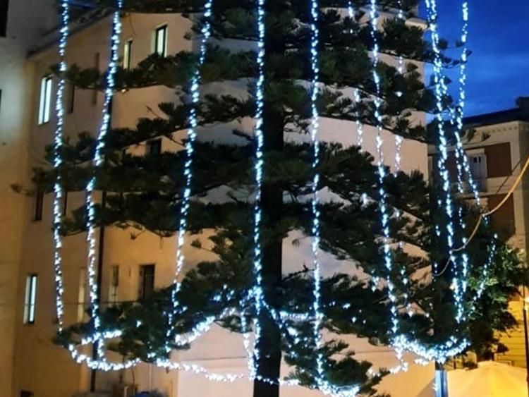 Natale: a Formia albero di 30 mt alimentato ad energia solare