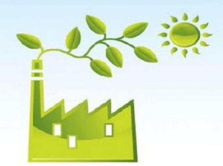 Sostenibilità: bioeconomia, in Italia vale 345 mld, oltre 2 mln di occupati