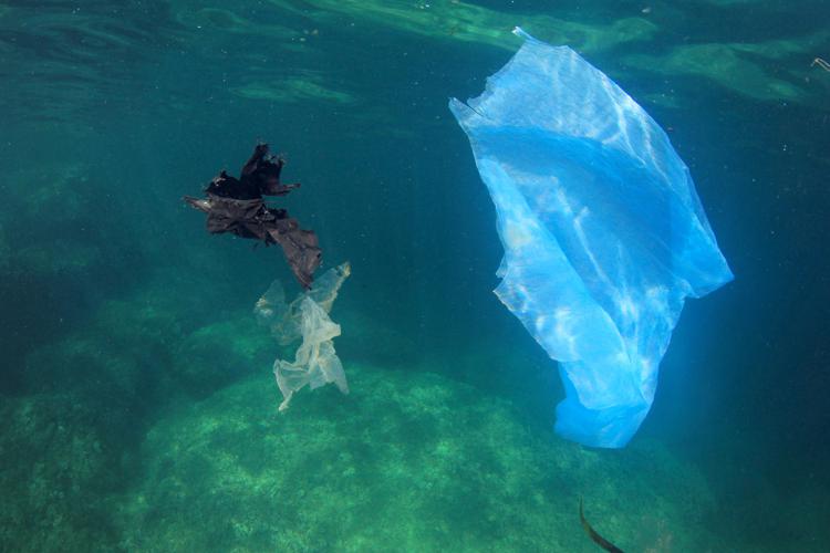 Rifiuti: Bcg, ogni anno 10 mln di ton di plastica negli oceani