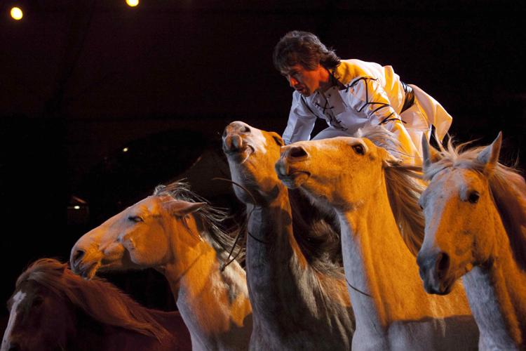 Fiere: 'Cavalli a Roma', al via nuovo format con  regia Veronafiere