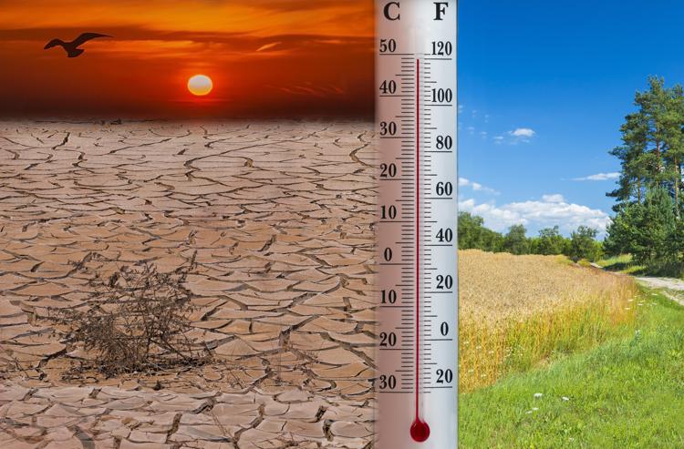 Clima: gennaio 2020 il più caldo mai registrato