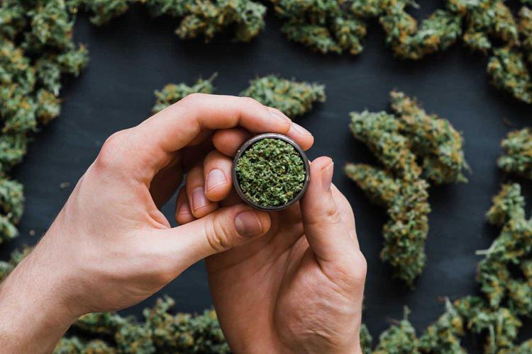 Consegne a domicilio di cannabis legale… e il mercato cresce
