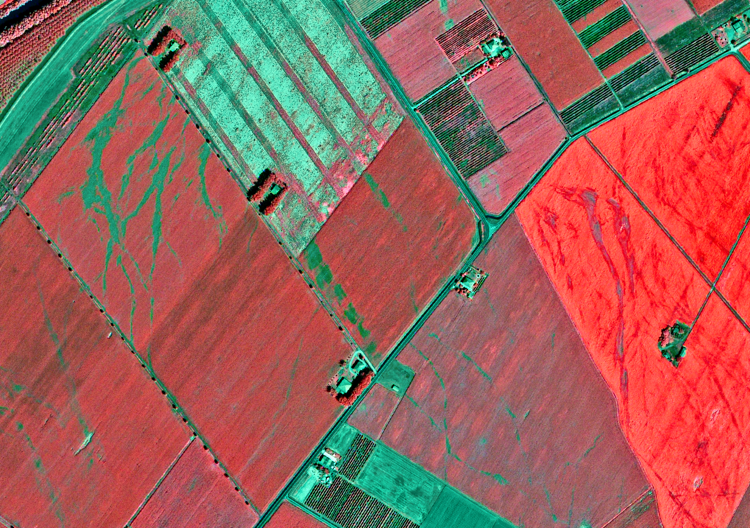 Area agricola osservata da satellite (Immagini e dati elaborati da e-Goes) 