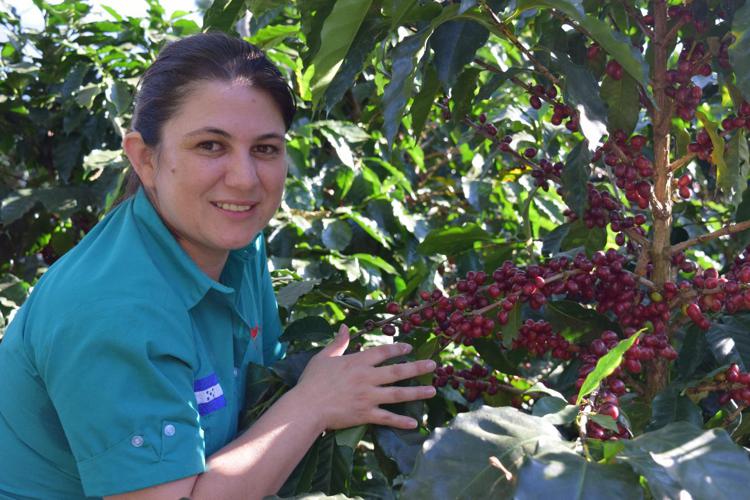 Coronavirus: Acra aiuta i piccoli produttori di caffè in Honduras