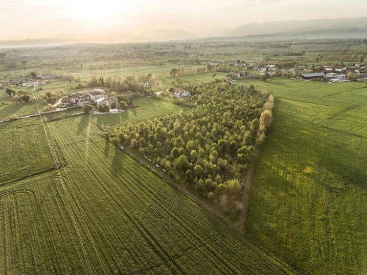 Sostenibilità: Sgambaro, entro il 2030 pasta 'climate positive'