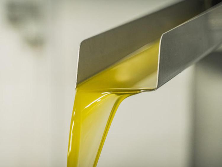 Rifiuti: RenOils, nel 2019 raccolte oltre 44mila t di oli alimentari (+25%)