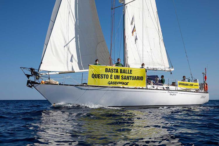Mare: Greenpeace, stato emergenza per Santuario Cetacei, non c'è tempo da perdere