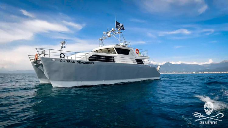 Mare: Operazione Siso, Sea Shepherd torna a difendere il Mediterraneo