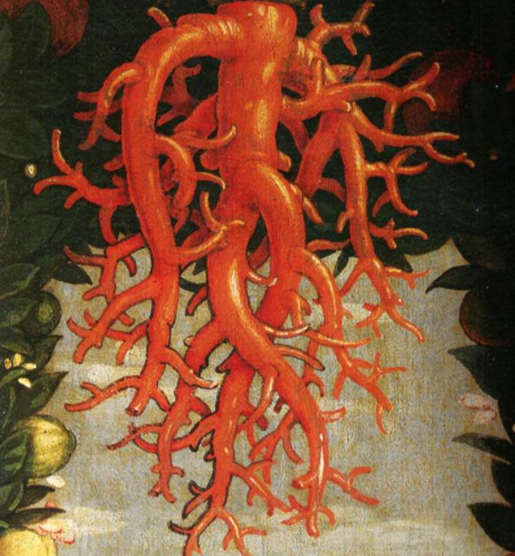 Il particolare della Madonna della Vittoria di Andrea Mantegna (Immagine da wikipedia)