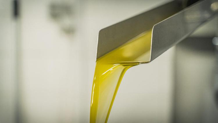 Coldiretti Toscana: olio 'evo' resiste meglio a crisi Covid, export +15%