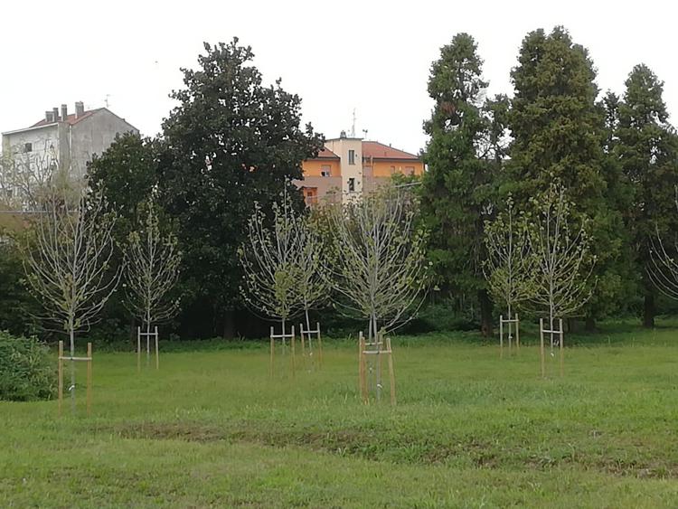Poste: riqualifica aree verdi, pianta nuovi alberi in Lombardia