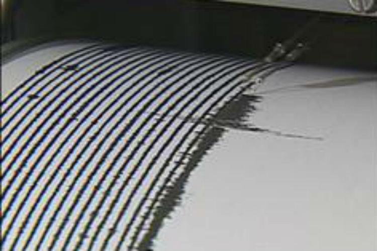 Terremoto, scossa a Reggio Calabria: magnitudo 3.9