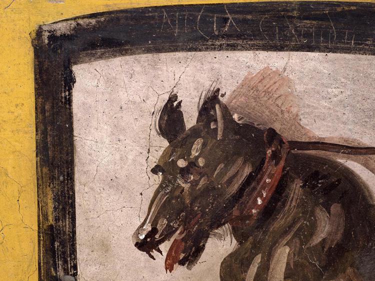 Nel Termopolio di Pompei anche un'antica scritta 'omofoba'