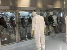 Foto Bsp Pharmaceuticals