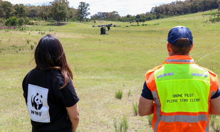 Incendi in Australia, droni e intelligenza artificiale per la ripresa green