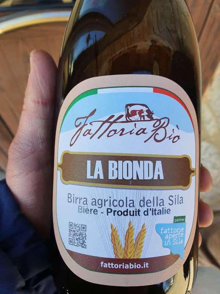 La birra agricola della Sila prodotta da Mario Grillo