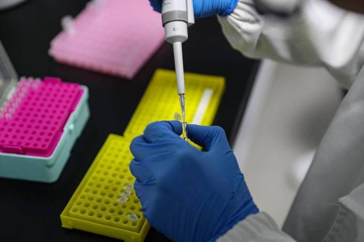 Anticorpi monoclonali cosa sono e quando si utilizzano Anticorpi monoclonali cosa sono e quando si utilizzano
