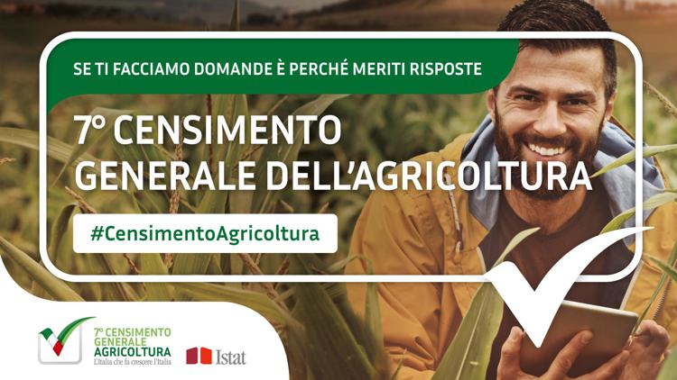 Istat: realtà e sfide in campo con il 7° Censimento generale Agricoltura