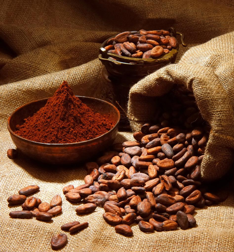 Ferrero implementa programma nella filiera del cacao