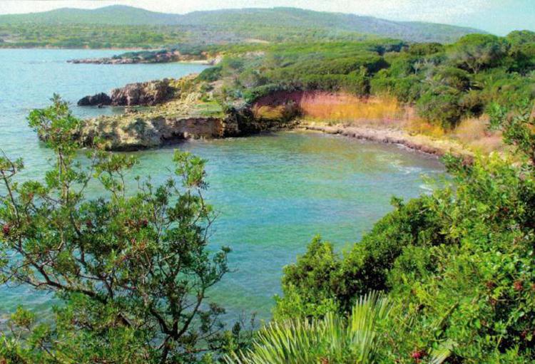 Isole covid free, Sicilia e Sardegna si candidano