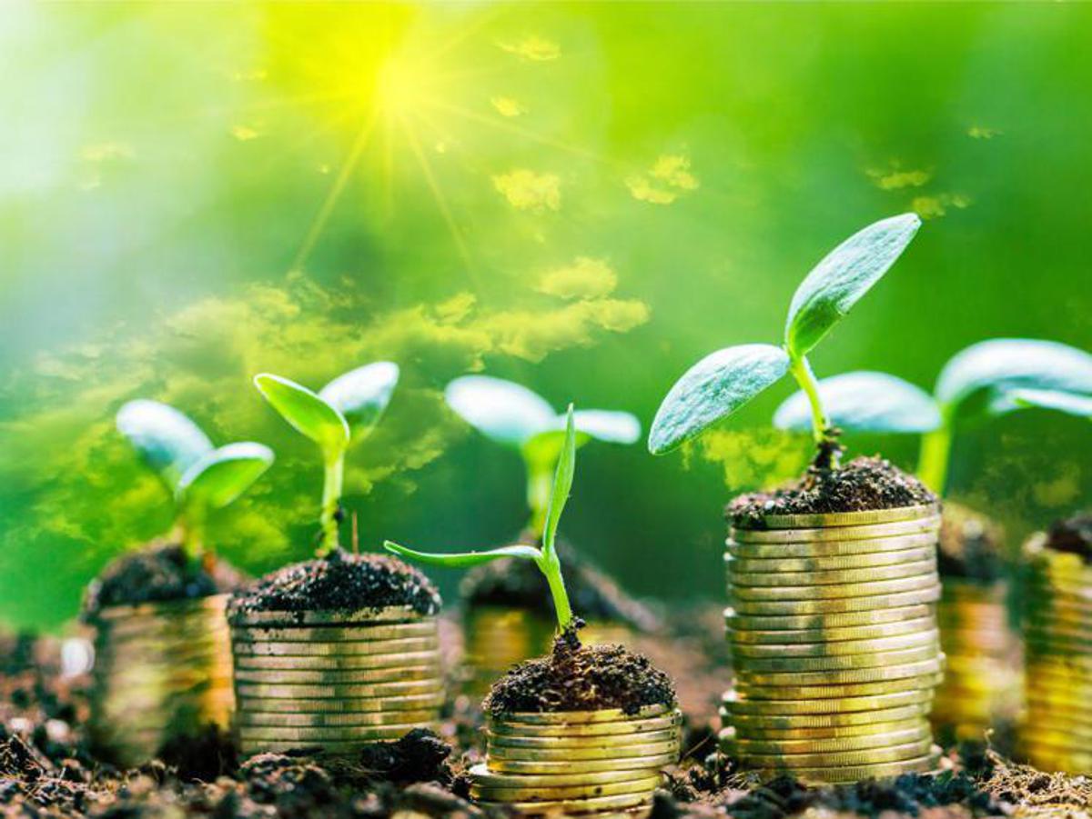 Green Finance: the path towards a sustainable economy