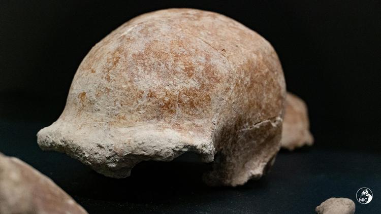 Trovati al Circeo i resti di 9 uomini di Neanderthal