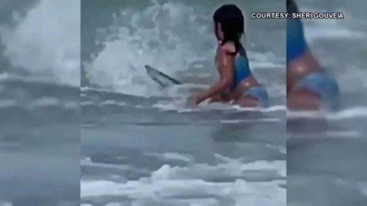 Attaccata da uno squalo, bimba riesce a fuggire: il momento filmato dalla madre