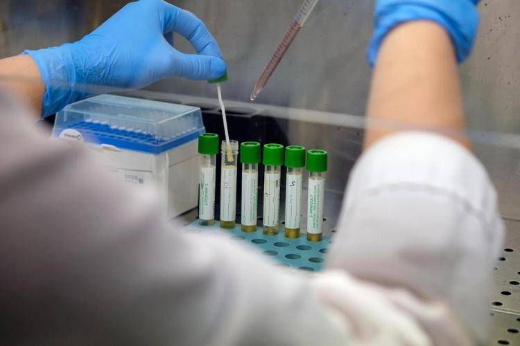 Mers, 9 casi con due morti in Arabia Saudita. Oms: "Rischio moderato"