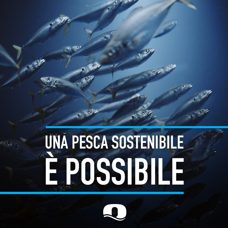 Al via Ocean Words, nuovo InstaMagazine per raccontare il mare