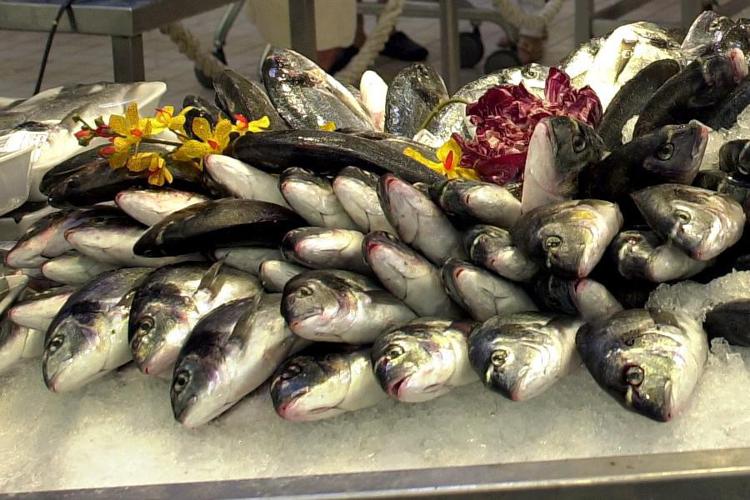 Pesca, Wwf: da ora a fine anno solo pesce importato per consumatori europei