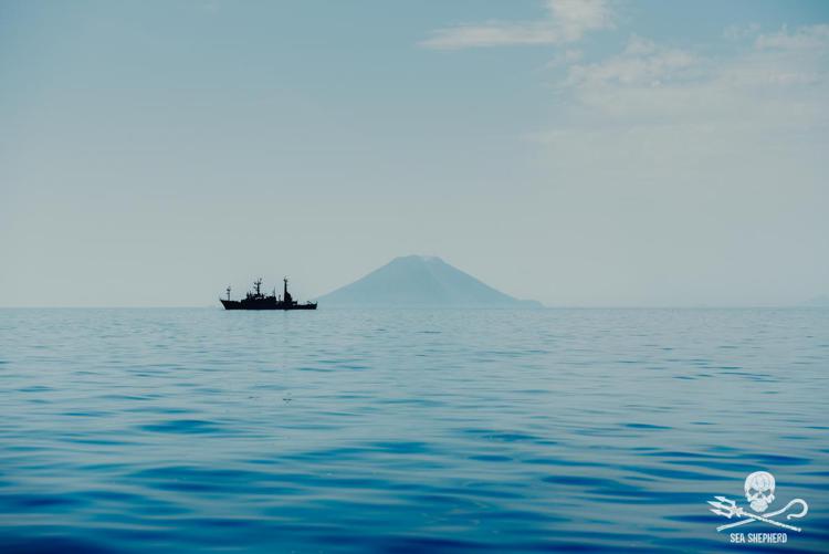 Davines con Sea Shepherd, obiettivo: difendere le Isole Eolie
