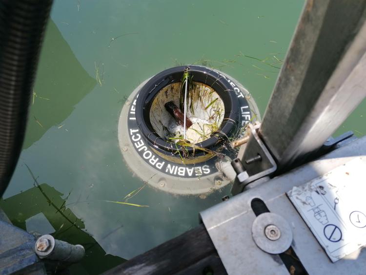 Mare, nella laguna di Venezia avviato il cestino 'mangia rifiuti'