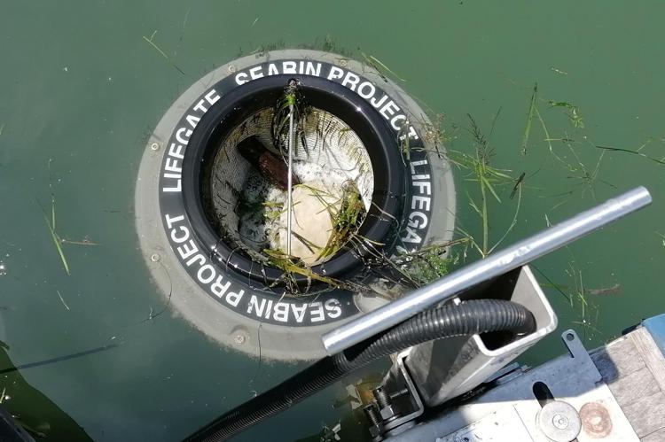 Lifegate: 'A Venezia con Findus e Coop per tutela laguna'
