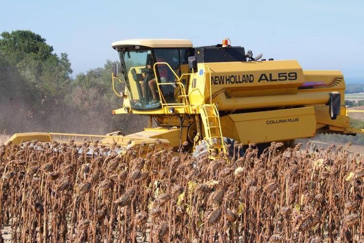 Cia, accesso alla terra dei giovani agricoltori diventi priorità Ue