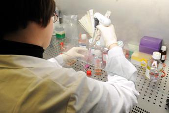 Novo Nordisk, oltre il diabete a 100 anni dalla prima insulina