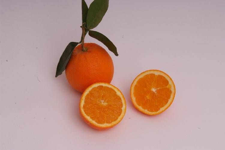 Arance e vitamina C, Bassetti boccia la spremuta: 