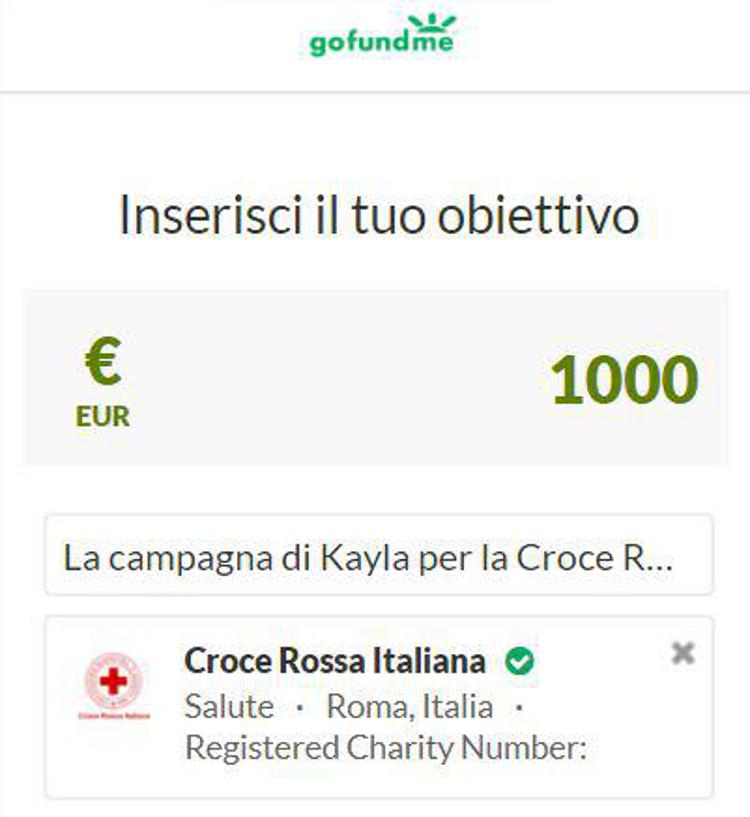 Gofundme, nuovo strumento di raccolta fondi per organizzazioni nonprofit italiane