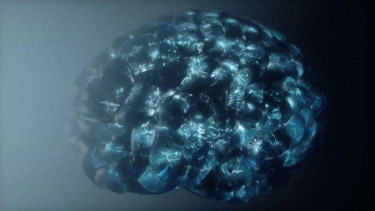 L'italiana Corticale dribbla Neuralink di Musk e punta a curare il cervello