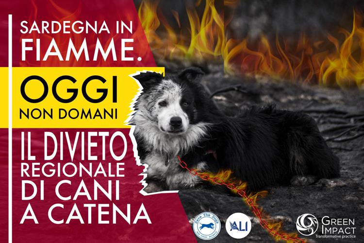 Incendi, strage cani in Sardegna: associazioni chiedono ordinanza anti-catena