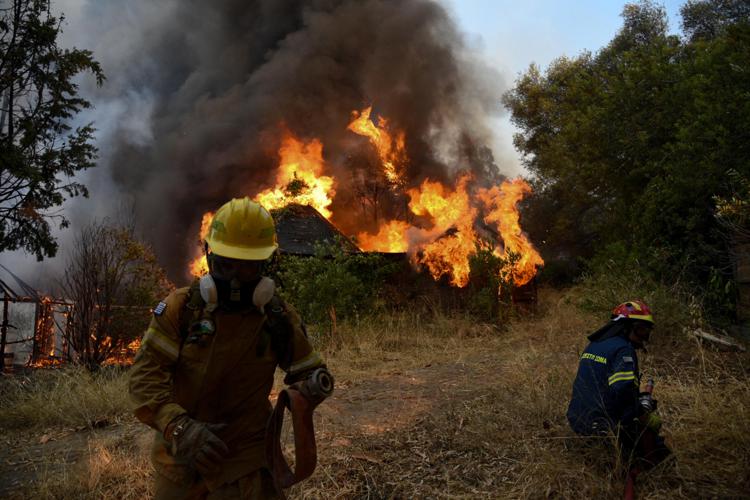 Deadly Algerian wildfires sadden Italy