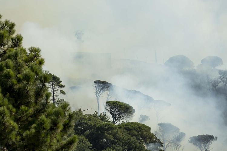 Da inizio anno in Italia bruciati 110mila ettari