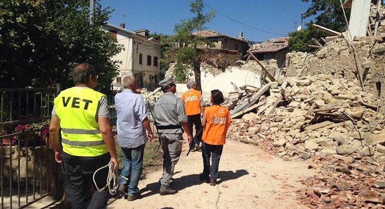 5 anni fa il sisma nel Centro Italia: Lav operativa da subito per soccorso ad animali e persone in difficoltà