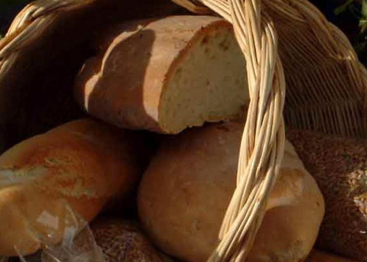Alimenti, Coldiretti: da grano a pane prezzo aumenta 12 volte