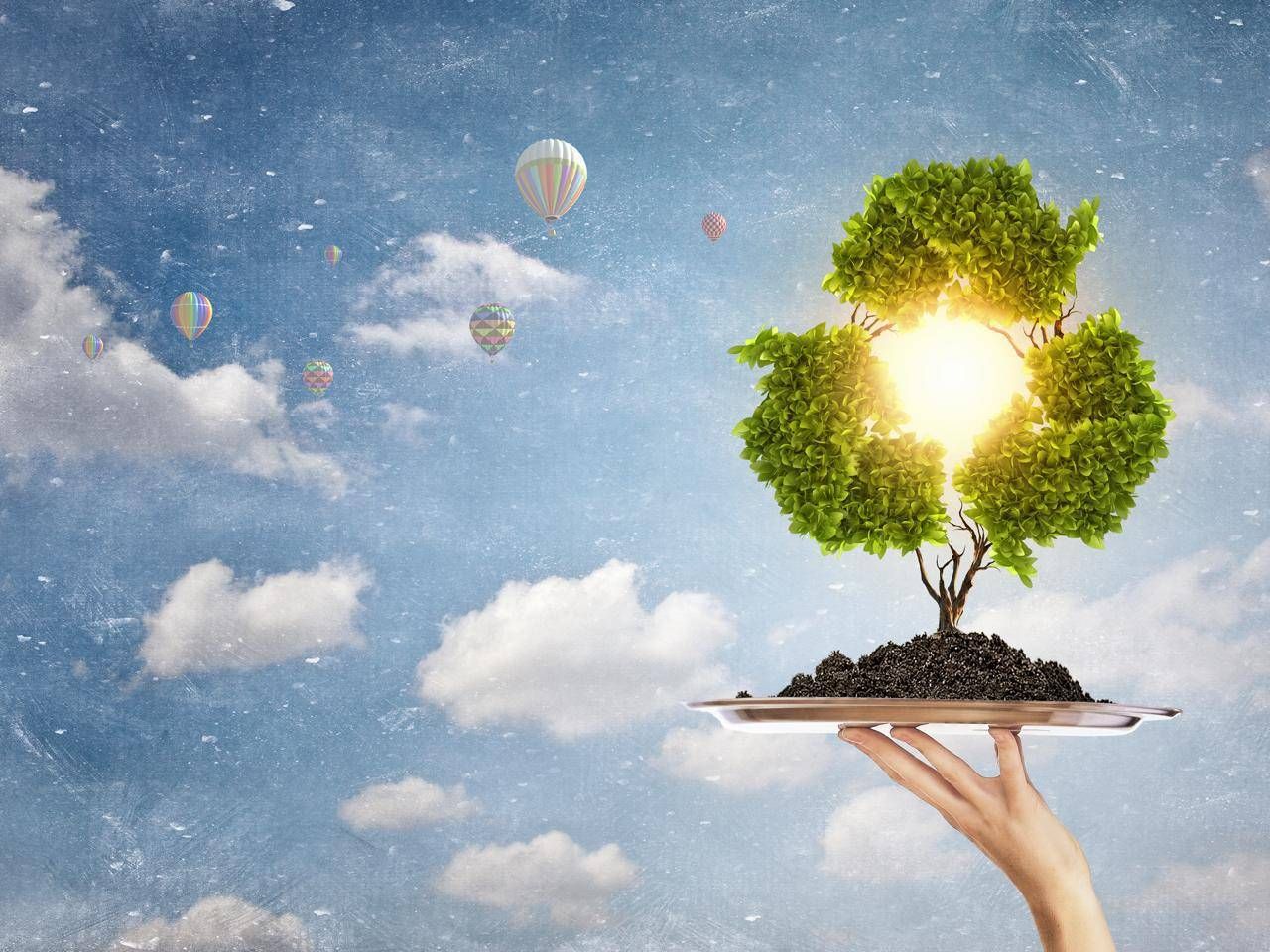 Park Litter 2025, 49 kentsel parkta 24 binden fazla atık topladı