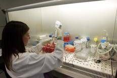 Laboratori della NOVARTIS di Siena (Fotogramma)