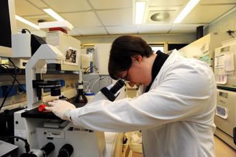 Accordo Humanitas-Philips per intelligenza artificiale in sanità