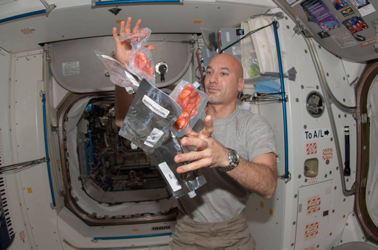 L'astronauta Luca Parmitano sulla Iss (Foto Ufficio Stampa Ambasciata italiana in Lussemburgo) 