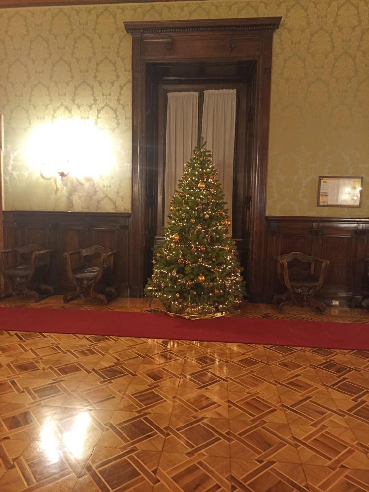 Arriva l'albero in Senato, in sala Garibaldi palle dorate e luci del Natale